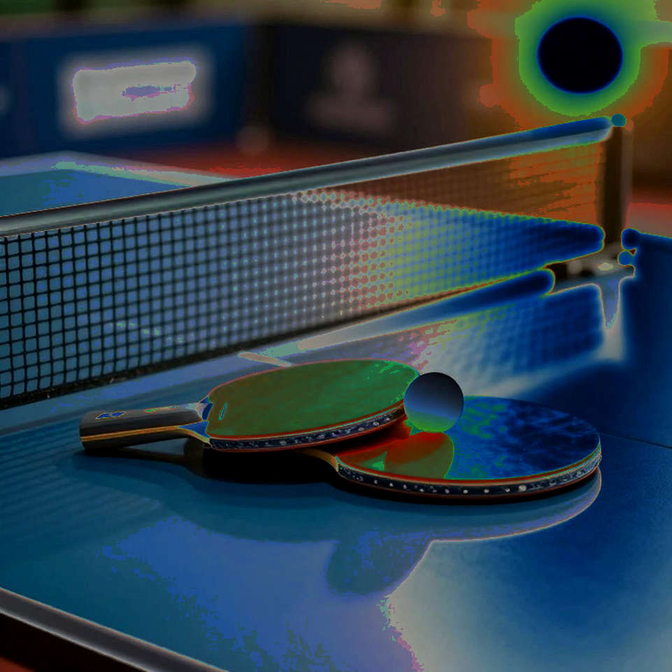 Belgium Open 2026: Khi hai tấm huy chương U21 không kể hết câu chuyện