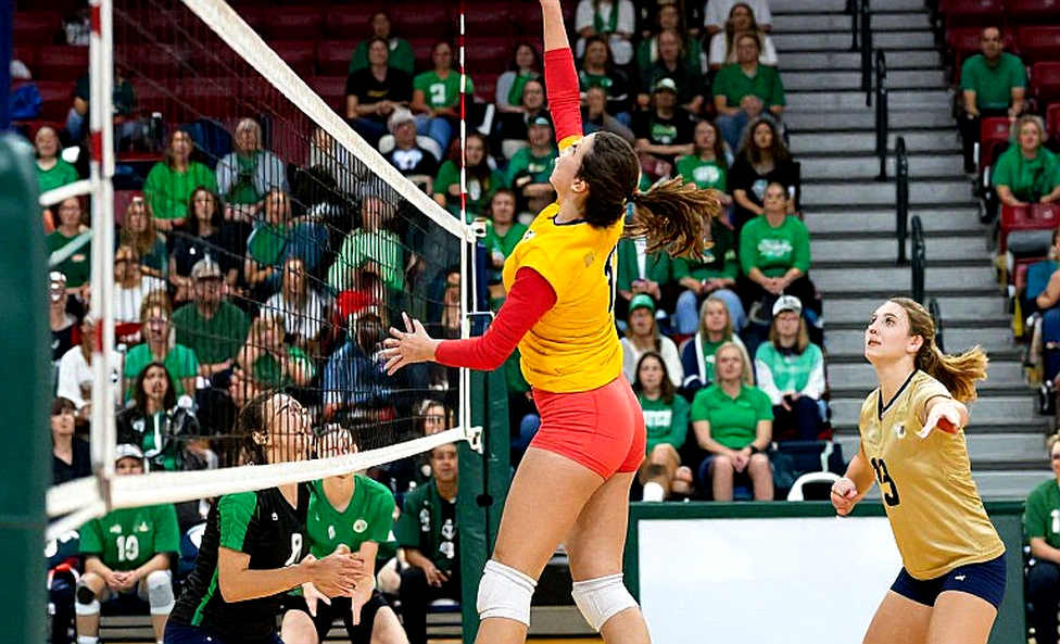 Pham Quynh Huong's 46 Points: What the Data Says Before Vietnam's Quarterfinal Against China