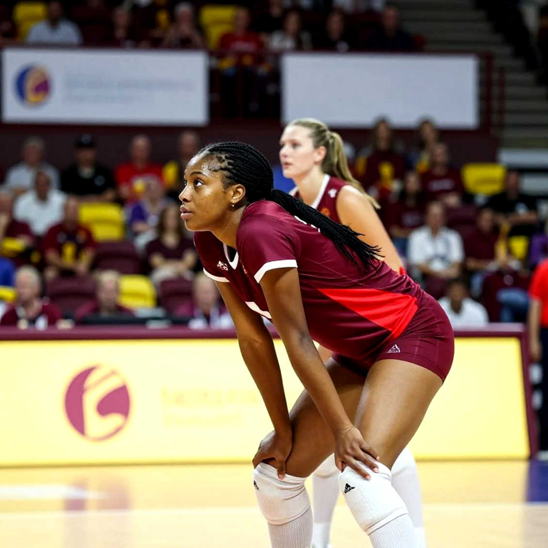 The Setter's Footwork Distance: The Real Structural Crack in Vietnam's Women's Volleyball The Setter's Footwork Distance: The Real Structural Crack in Vietnam's Women's Volleyball