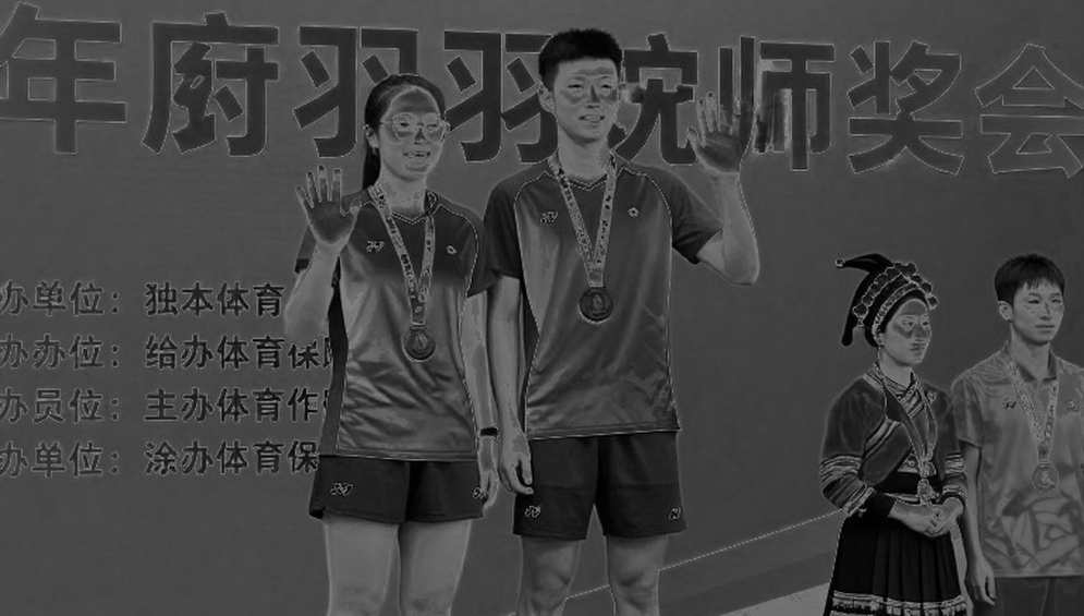 Analysis of Insufficient Data in Badminton Analysis