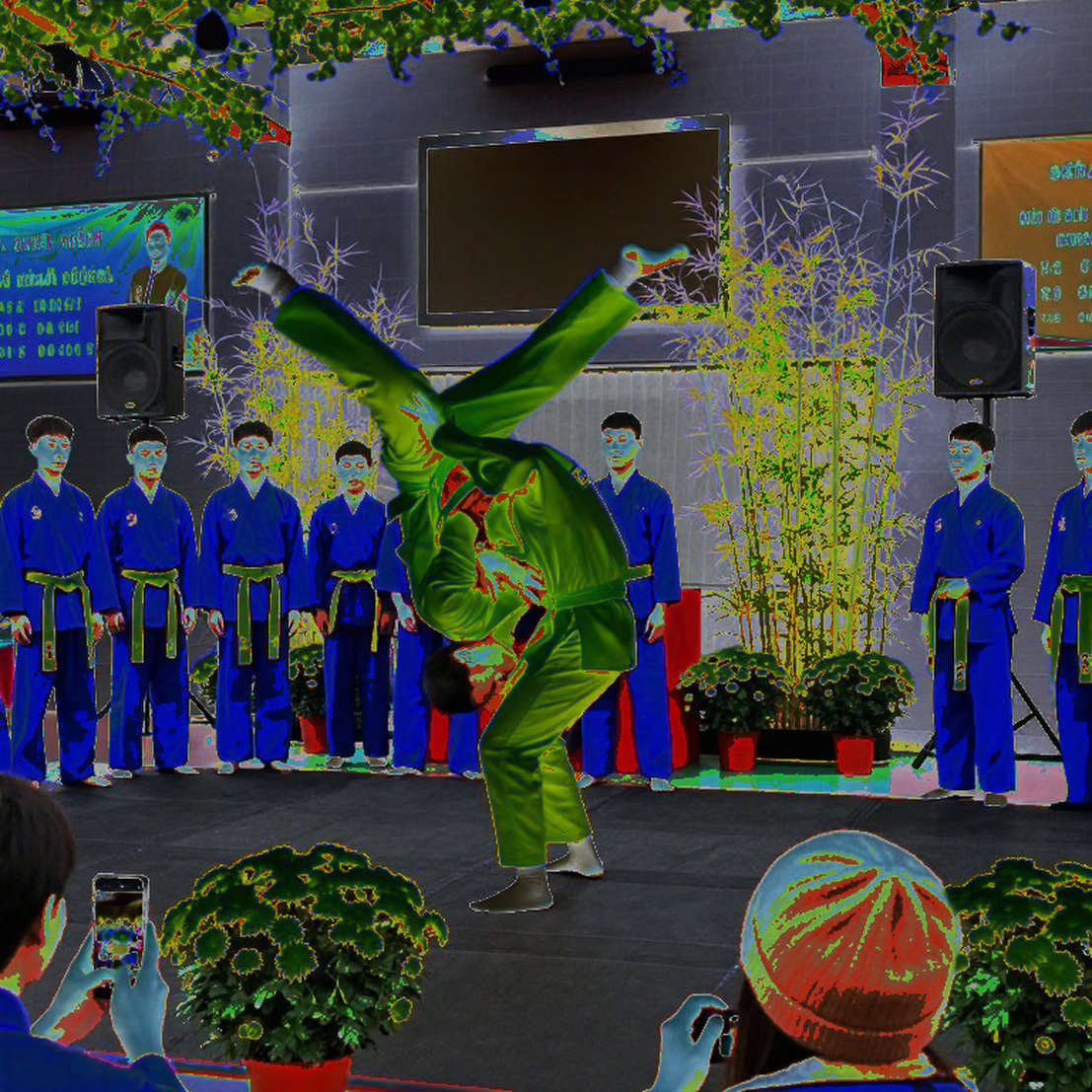 Võ thuật Việt Nam và khoảng trống phía sau những tấm huy chương SEA Games