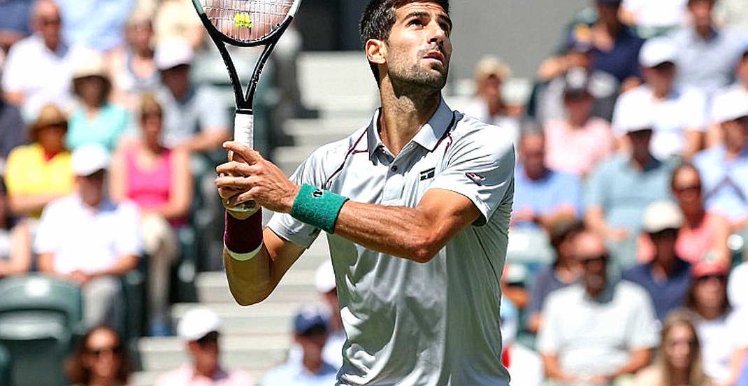 Djokovic rơi xuống hạng 12 thế giới: khi bảng xếp hạng ATP tính bằng số trận đấu